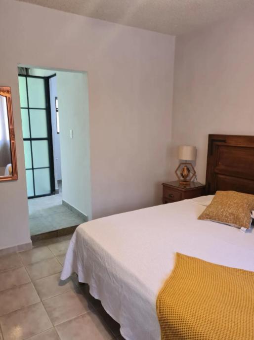 Casa Matia Bed And Breakfast サン・ミゲル・デ・アジェンデ エクステリア 写真